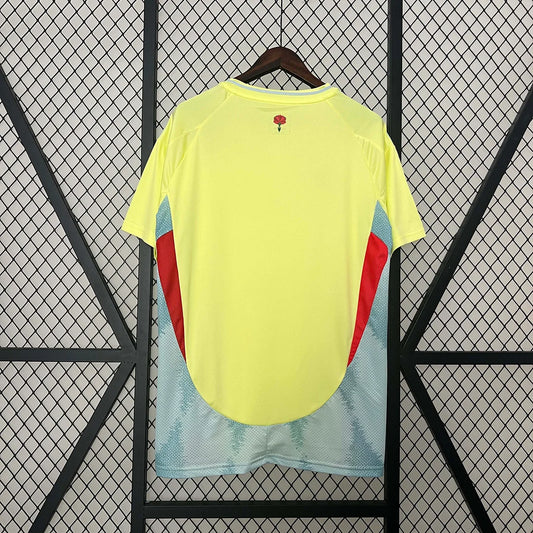 Camiseta de fútbol visitante de España 2024