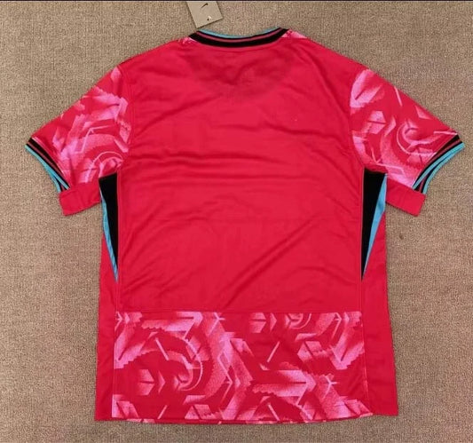Camiseta de fútbol local de Corea 2024